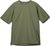 sage green (D40)