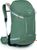 pine leaf green (461)