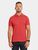 pomme red (463)