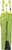 grass lime (7575)