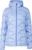 hortensia blue (28)