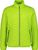limegreen (E413)