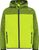 limegreen (E413)