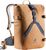 almond (6008)