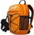 tangerine-dark tangerine (2261)