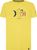 yellow (100100)
