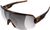 tortoise brown/clarity road/sunny silver (9547)