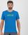 indigo bunting print 1 (072)