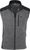 silver grey/black (1801)