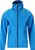 blue aster (2081)