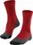 ruby (8830) (8830)