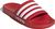 vivid red / ftwr white / vivid red (ADYY)