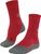 carmine (8079) (8079)