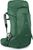 koseret/darjeeling spring green (546)