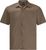 chestnut 51 (4157)