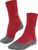 carmine (8079) (8079)