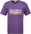 rustic purple (1484)
