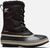 black ancient fossil (011)