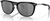 matte black/prizm black polar (928602)