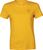 daylily yellow (B43)