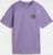 purple haze (501)