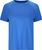 palace blue (2279)