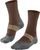 chestnut (5534)