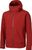 red ochre (8918)