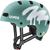 spray sage green matt