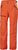 cherry tomato (147)