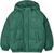 garden green (1147)
