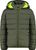 olive (E943)