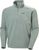grey cactus (485)