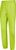 lime punch (729729)