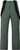 evergreen (251)