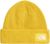 pigment yellow (NO7)