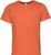 terracotta (0031)