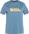 dawn blue (543)