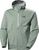 grey cactus (485)