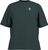 mountain pine (1226)