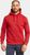 pomme red (463)