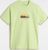 shadow lime (310)