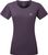 nightshade (Me-01399)
