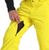 acid yellow (AYW)
