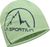 aspen green/night sky (E37B46)