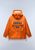orange pumpkin a68 (A68)