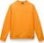 apricot a70 (A70)
