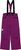 wild aster (6261)