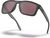 steel/prizm daily polarized (9102B5)