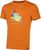 hawaiian sun (208208)